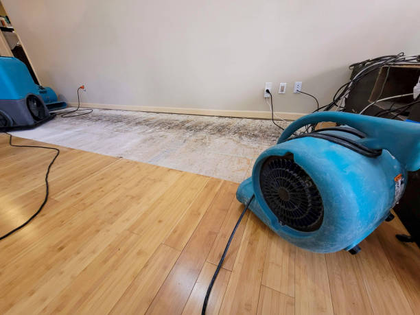 Professional Flood Damage Cleanup technician working in Pickens, MS